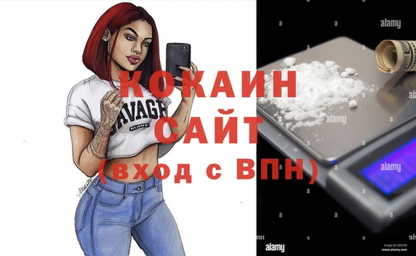 индика Инта