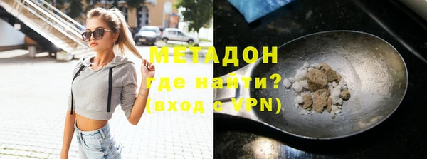 индика Инта