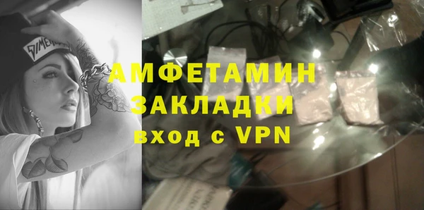 индика Инта