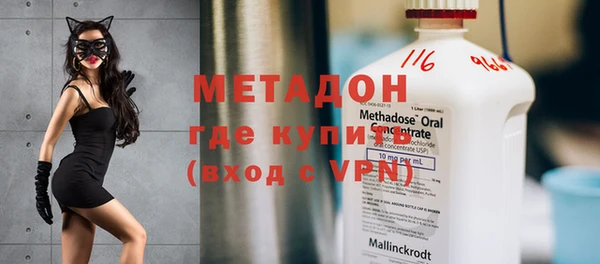 индика Инта