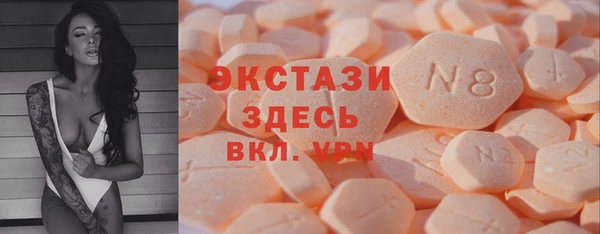 индика Инта