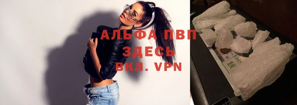 индика Инта
