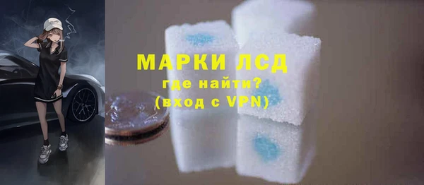 индика Инта