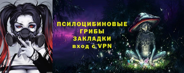 индика Инта