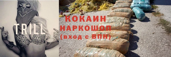 индика Инта