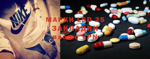 индика Инта