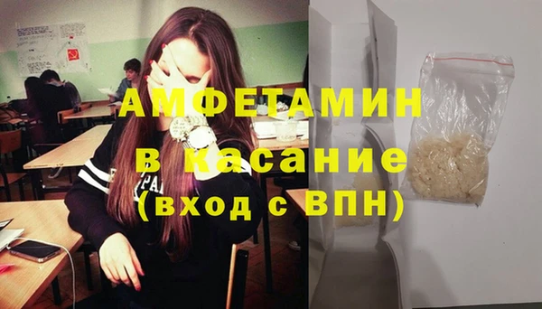 индика Инта