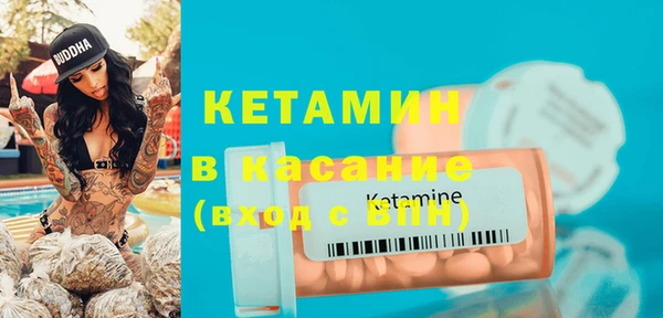 индика Инта