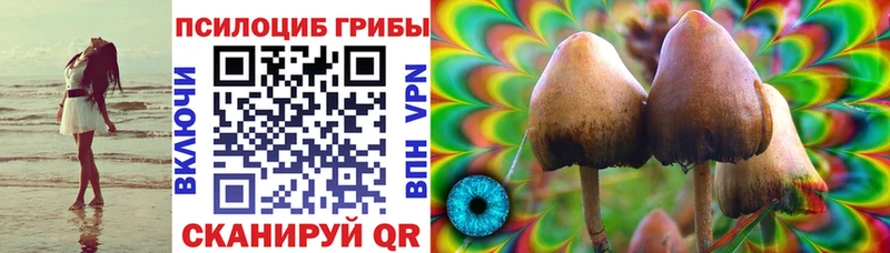 Купить закладки  Чекалин  Псилоцибиновые грибы прущие грибы 